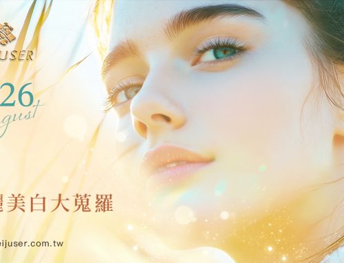 2026 8月最新訊息